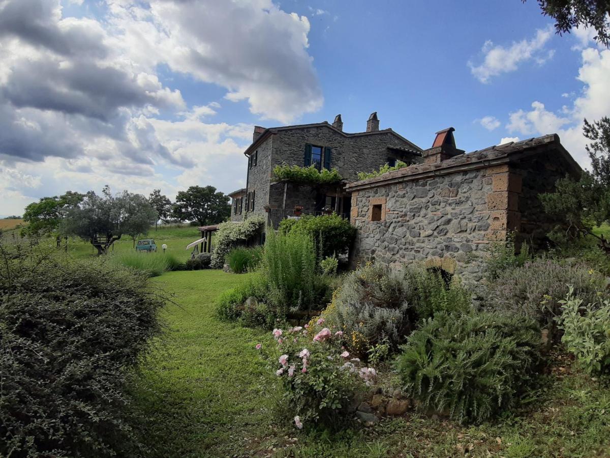 Agriturismo Cantinaccia Di Sopra Pitigliano Exterior photo